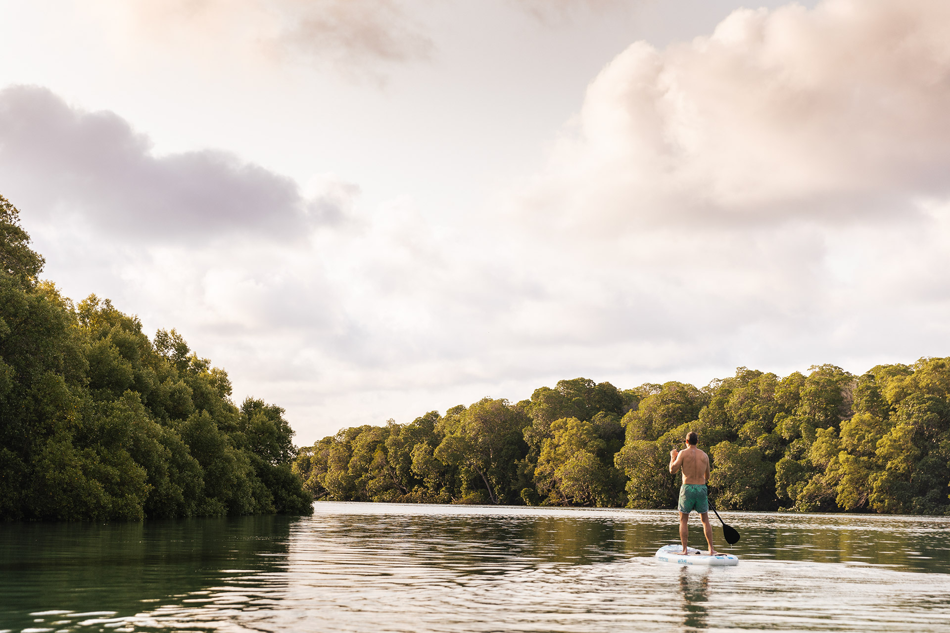 4-Hour Mangrove Paddleboard Adventure — Msambweni