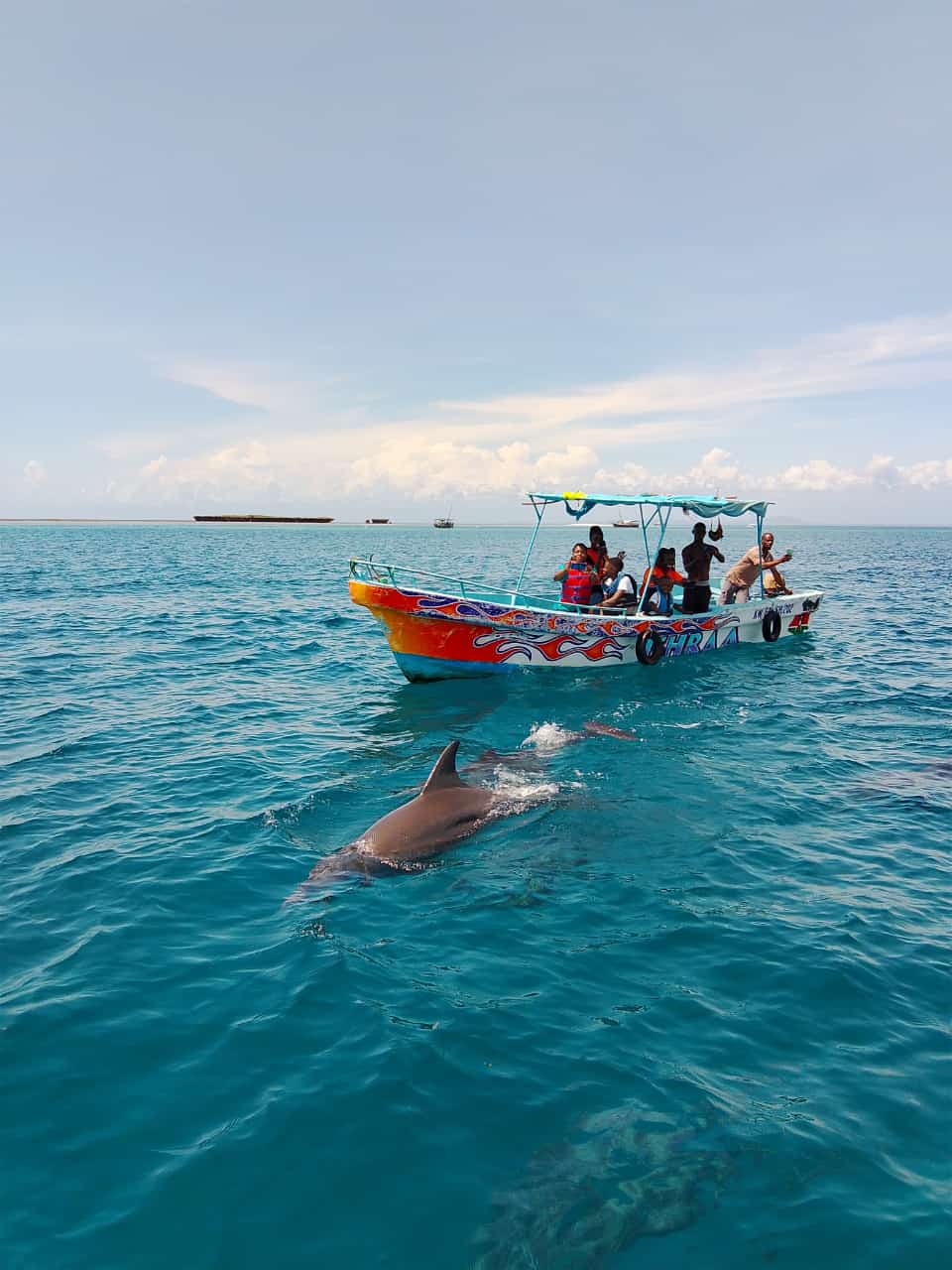 Dolphin Spotting — Watamu