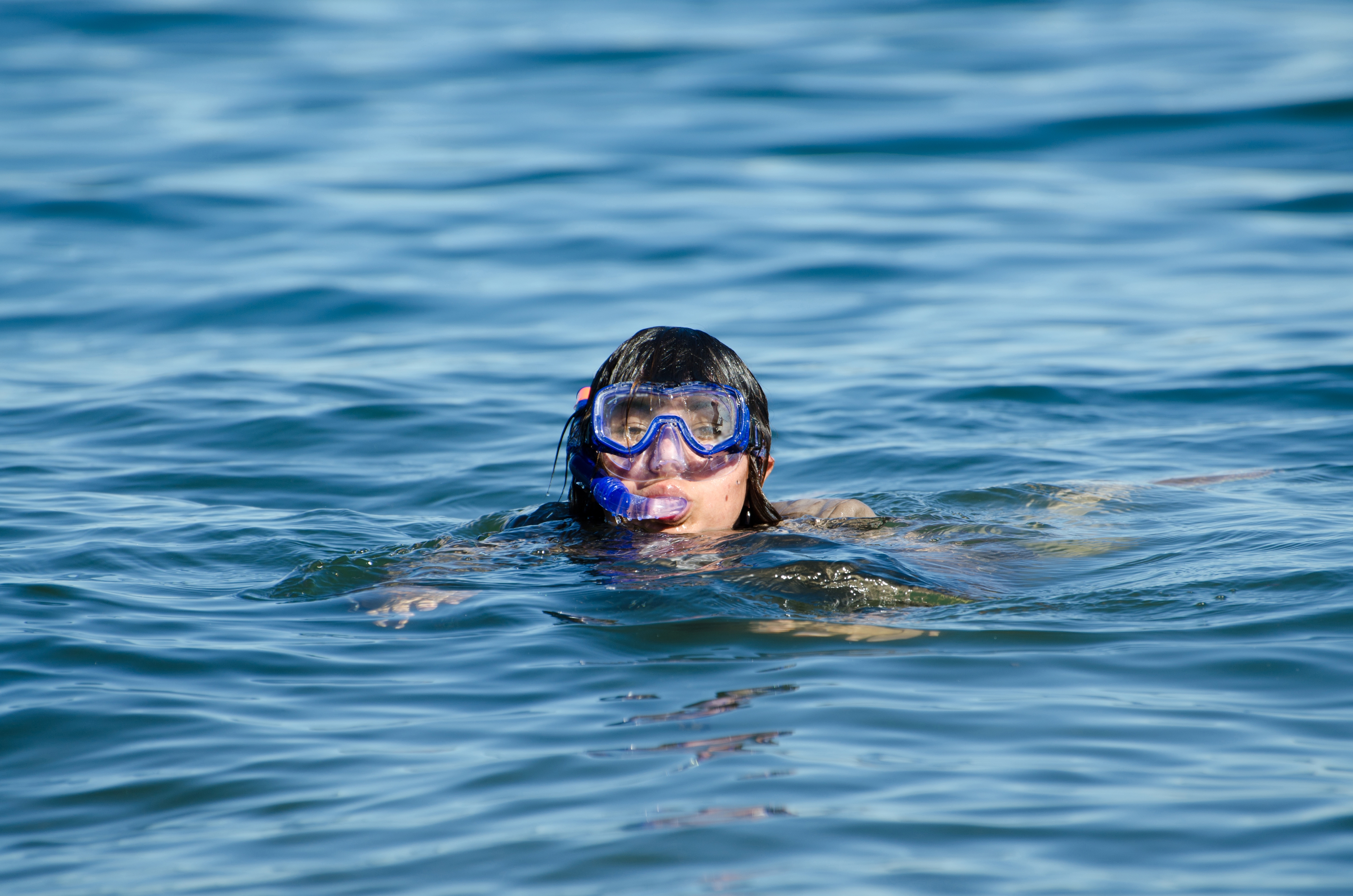 Local snorkeling - Tengefu Conservation