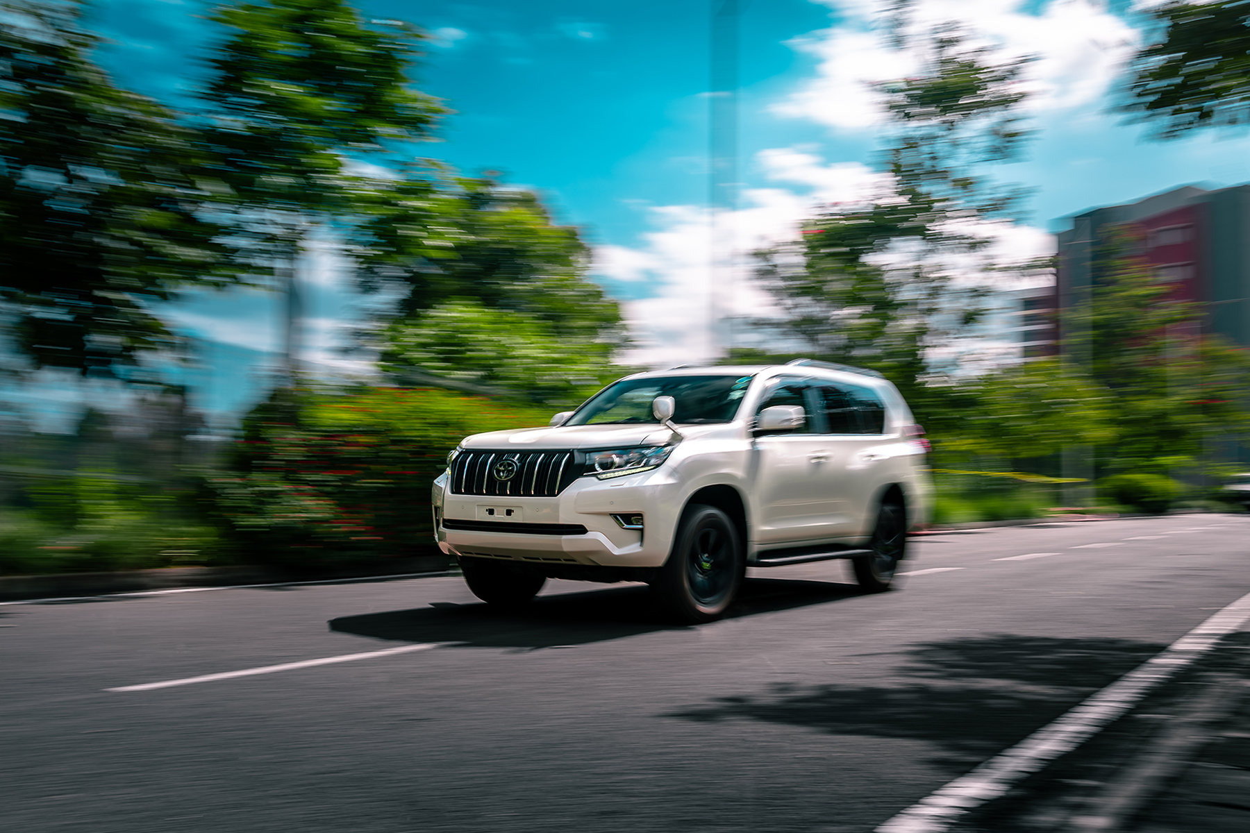 Discover Your Ride: Explore our premium collection