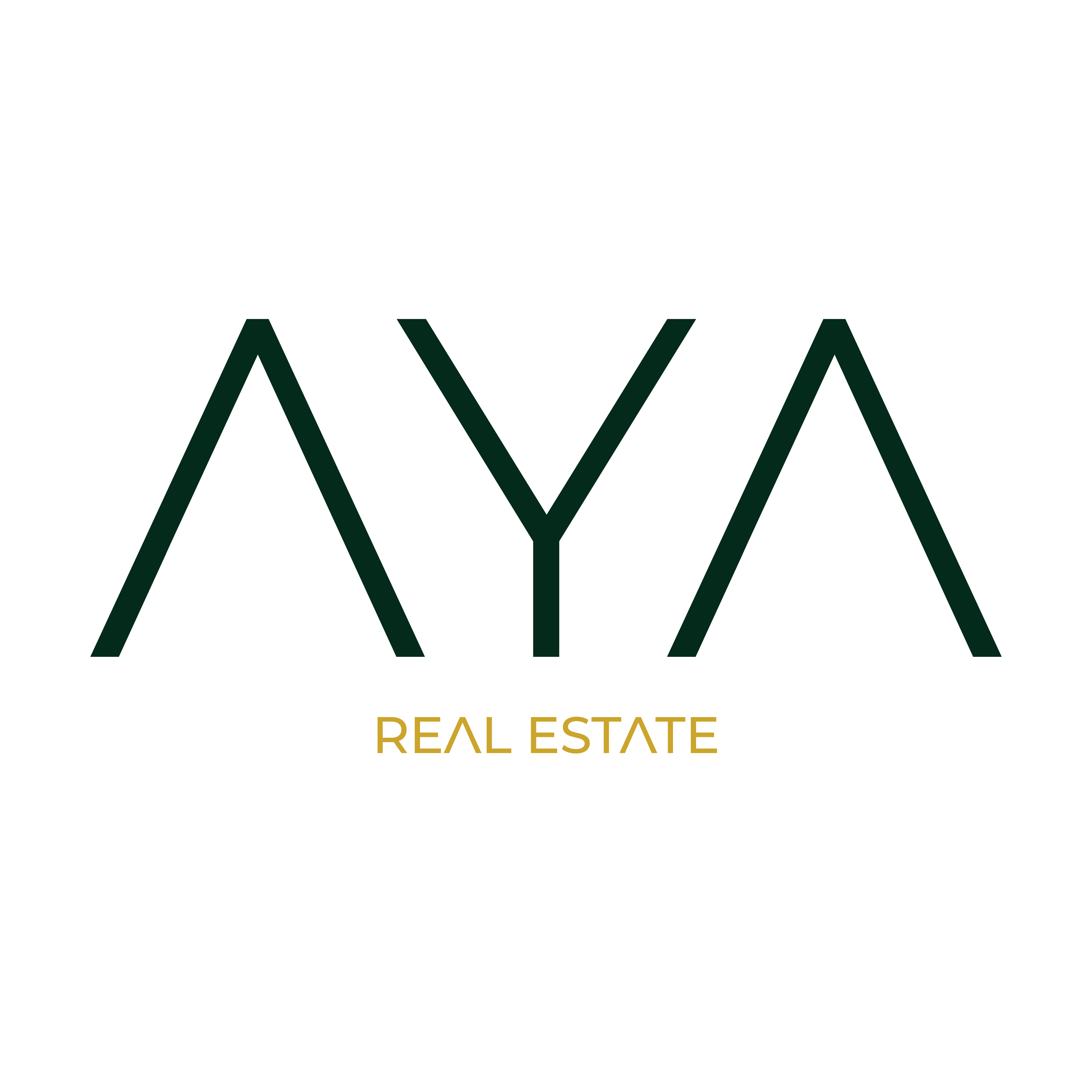 Aya Real Estate logo